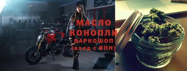 индика Коряжма