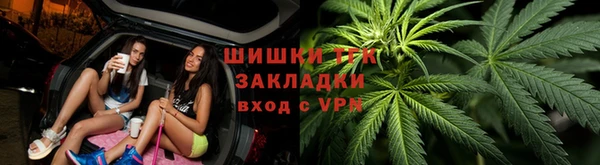 индика Коряжма