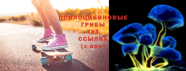индика Коряжма