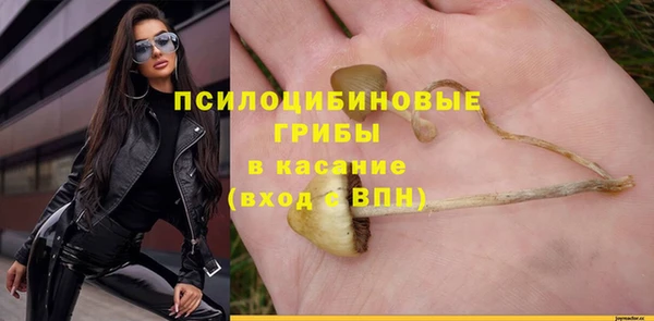 индика Коряжма
