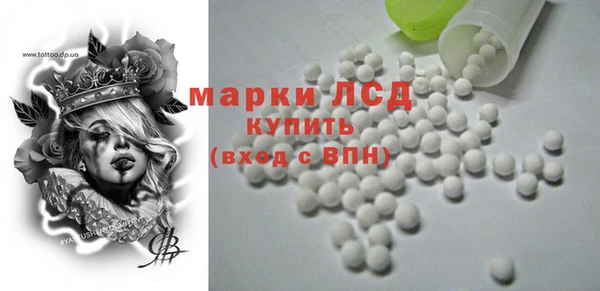 индика Коряжма