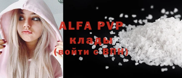 индика Коряжма