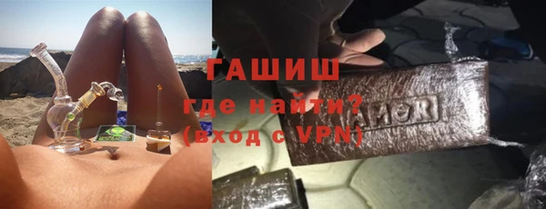 индика Коряжма