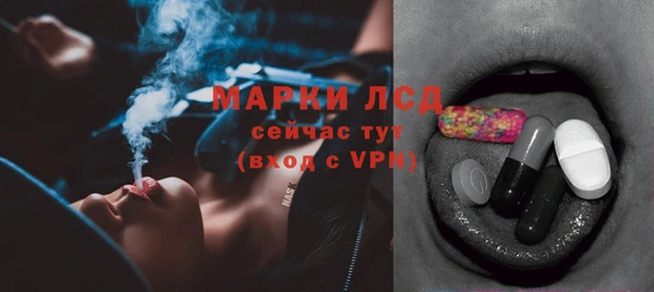 индика Коряжма