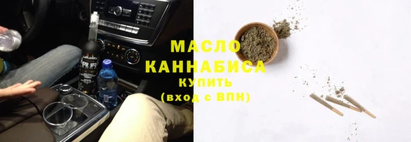 индика Коряжма