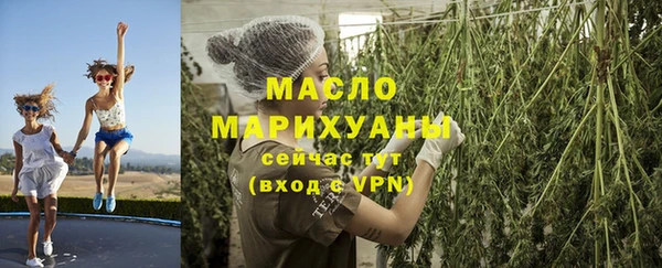 индика Коряжма