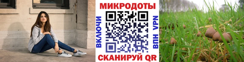 Купить закладки  Луга  Галлюциногенные грибы ЛСД 